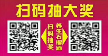 數(shù)字時(shí)代的成功印跡 個(gè)性化與專業(yè)網(wǎng)站建設(shè)案例解析