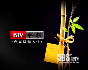 北京5DS 領(lǐng)航中國數(shù)字視覺藝術(shù)與職業(yè)教育新紀(jì)元